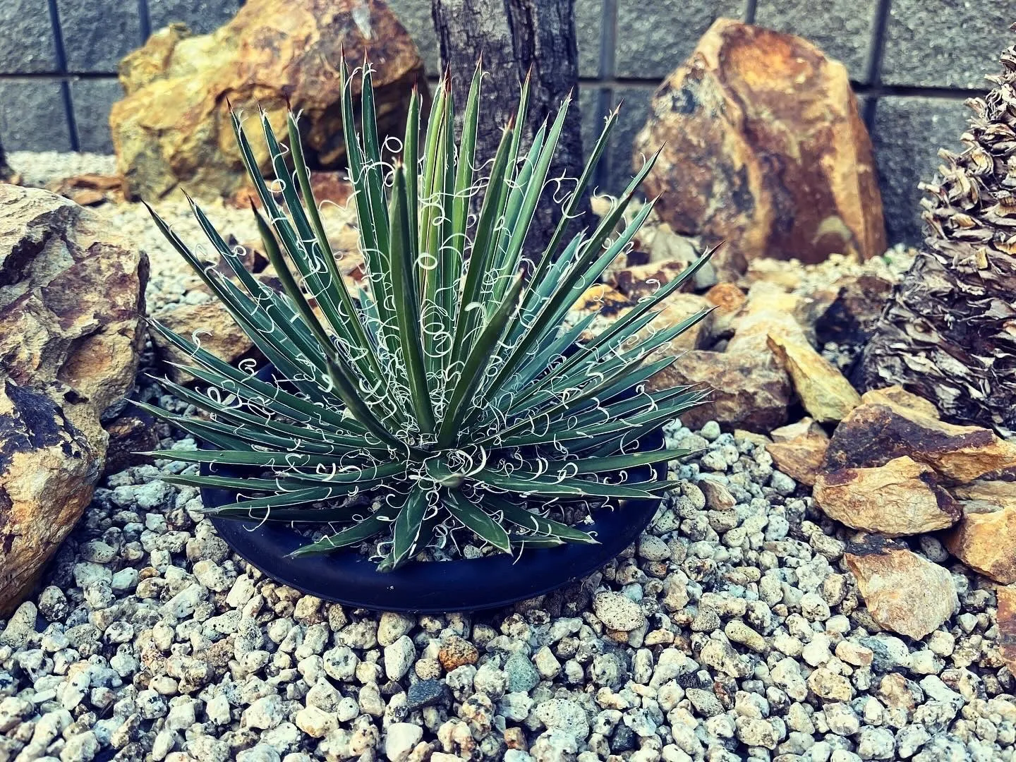 春の外構シーズンが始まりました🌸