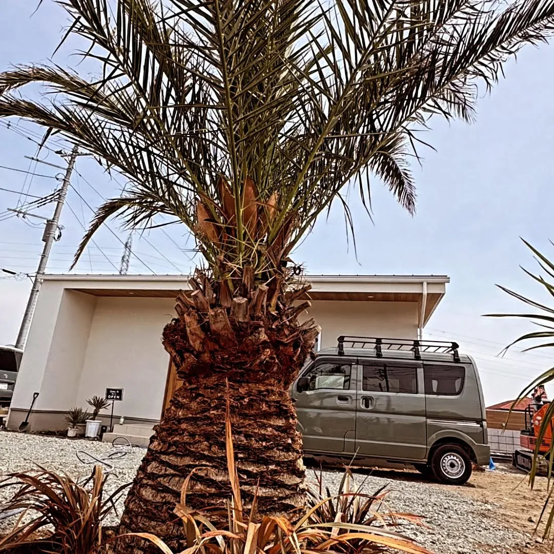 「店舗の“顔”をつくる🌴」