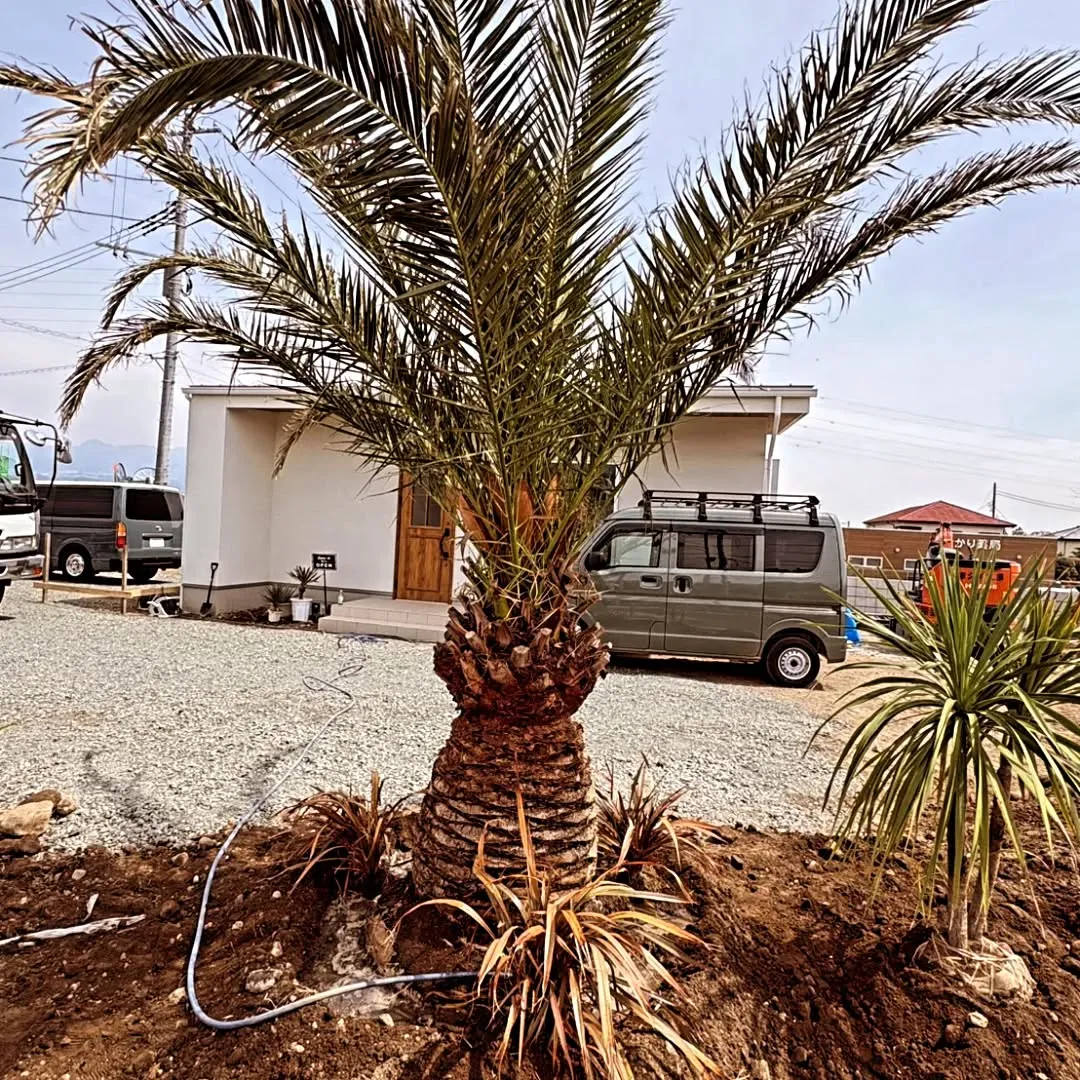 「店舗の“顔”をつくる🌴」