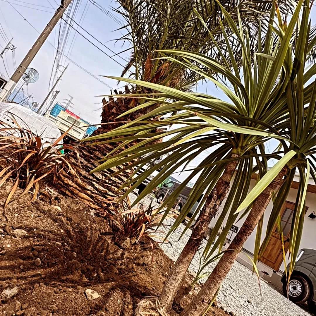 「店舗の“顔”をつくる🌴」