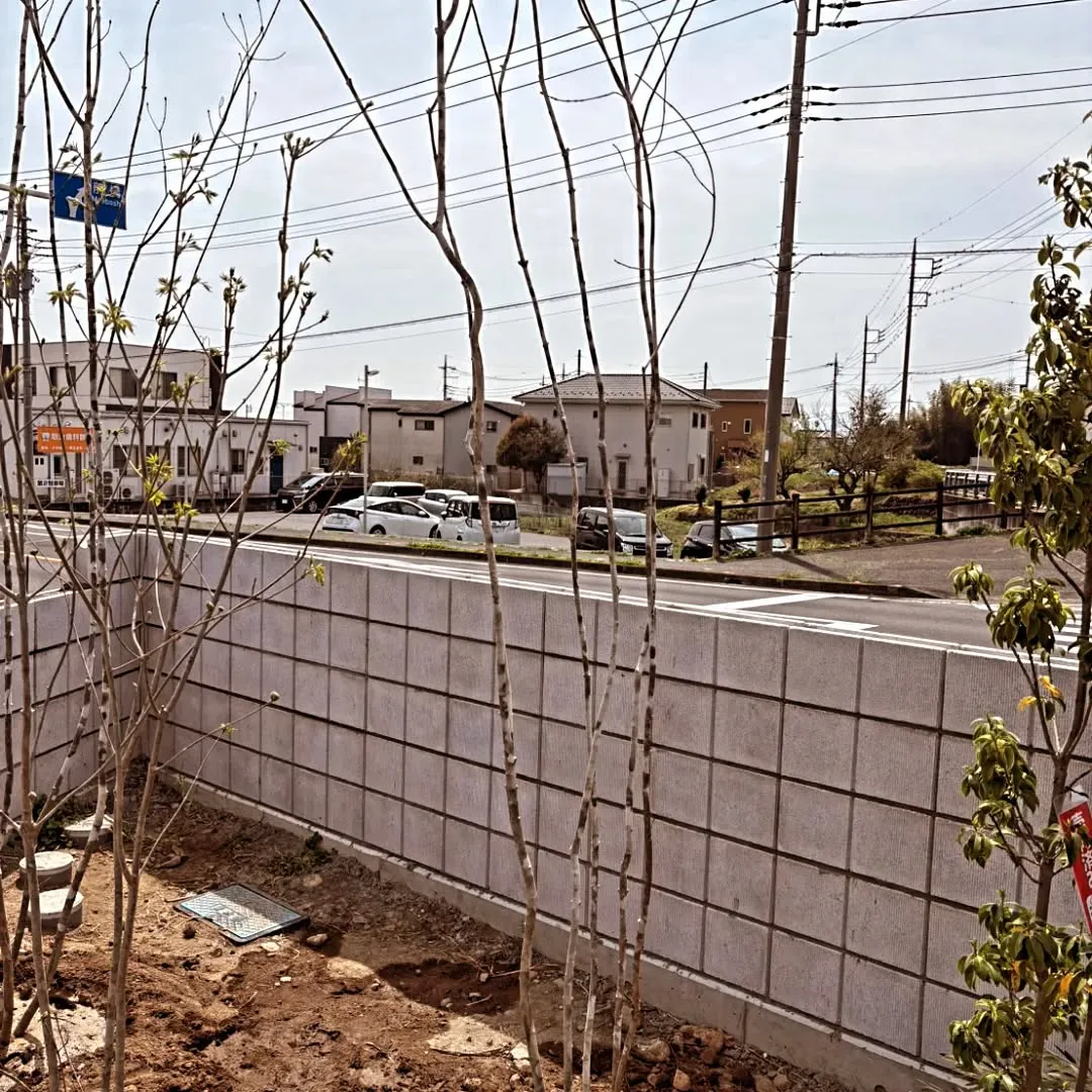 「店舗の“顔”をつくる🌴」