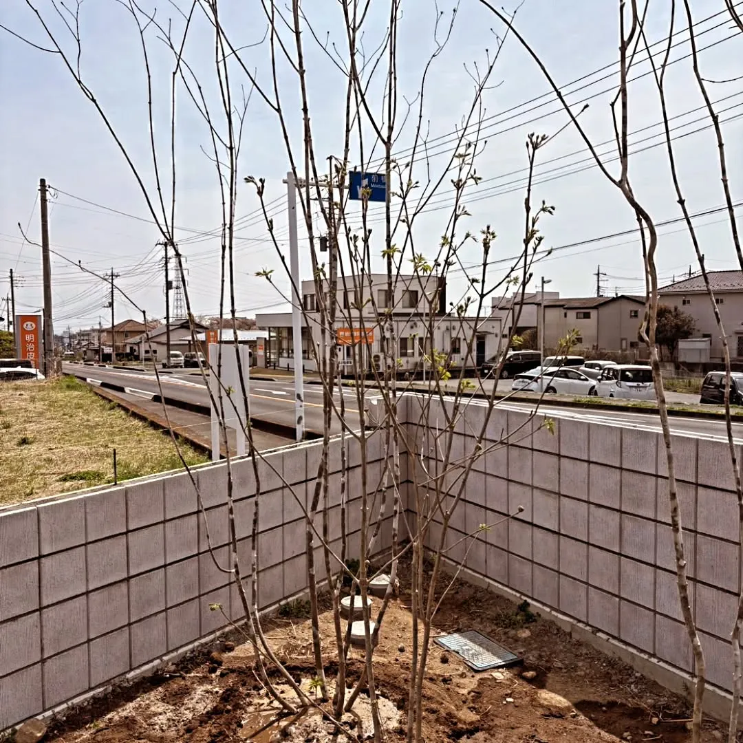 「店舗の“顔”をつくる🌴」